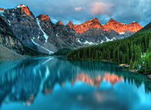 米乐官方网站：开启信任与品质并存的购物新体验